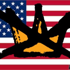 No-kings-flag